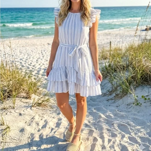 Striped Ruffle Sleeve Dress - Picture 1 of 9